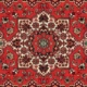 oriental rug rug with intricate pattern.