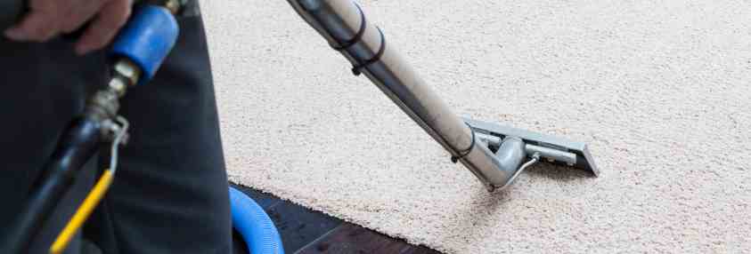 professional cleaning a carpet